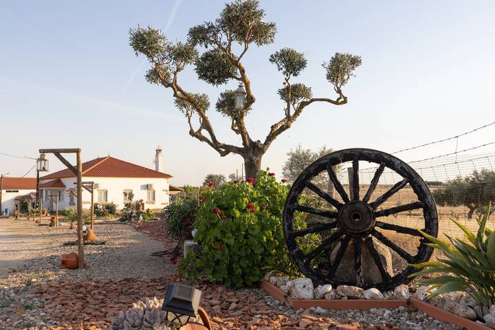 Studio für 3 Personen, mit Garten, mit Haustier in Portugal - 4