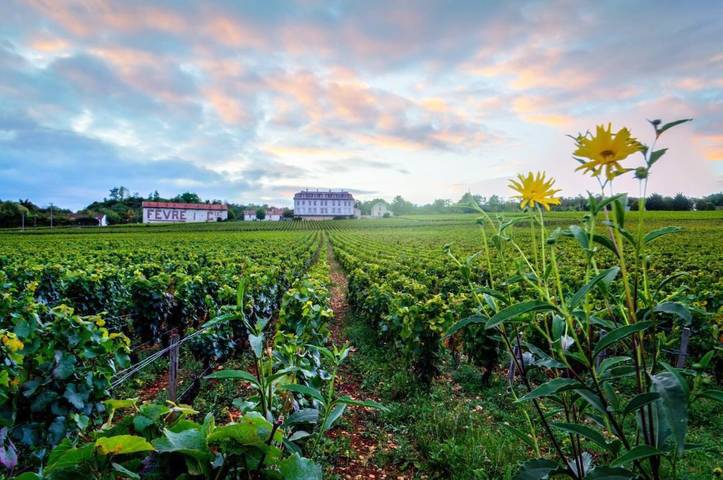 Location de vacances pour 2 personnes, avec Terrasse et Jardin à Comblanchien