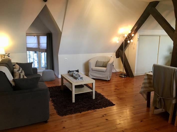 Gîte pour 5 personnes, avec jardin et terrasse à Huisseau-sur-Cosson - 3