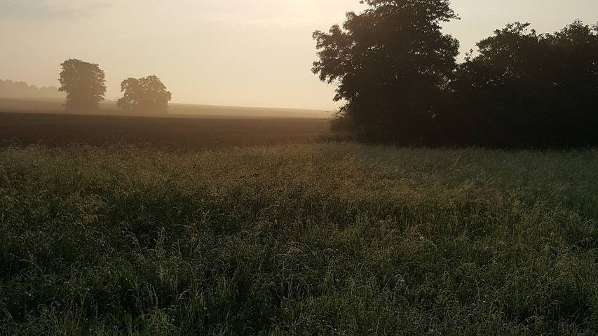 Ferienwohnung für 3 Personen, mit Garten in Blankensee (Mecklenburg) - 4