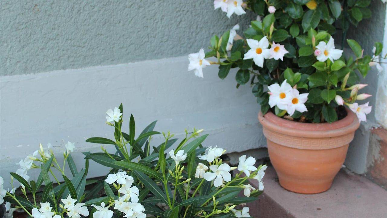 Geheel vakantieappartement, Vakantieappartement voor 5 personen met balkon in Diez, Lahn-Taunus