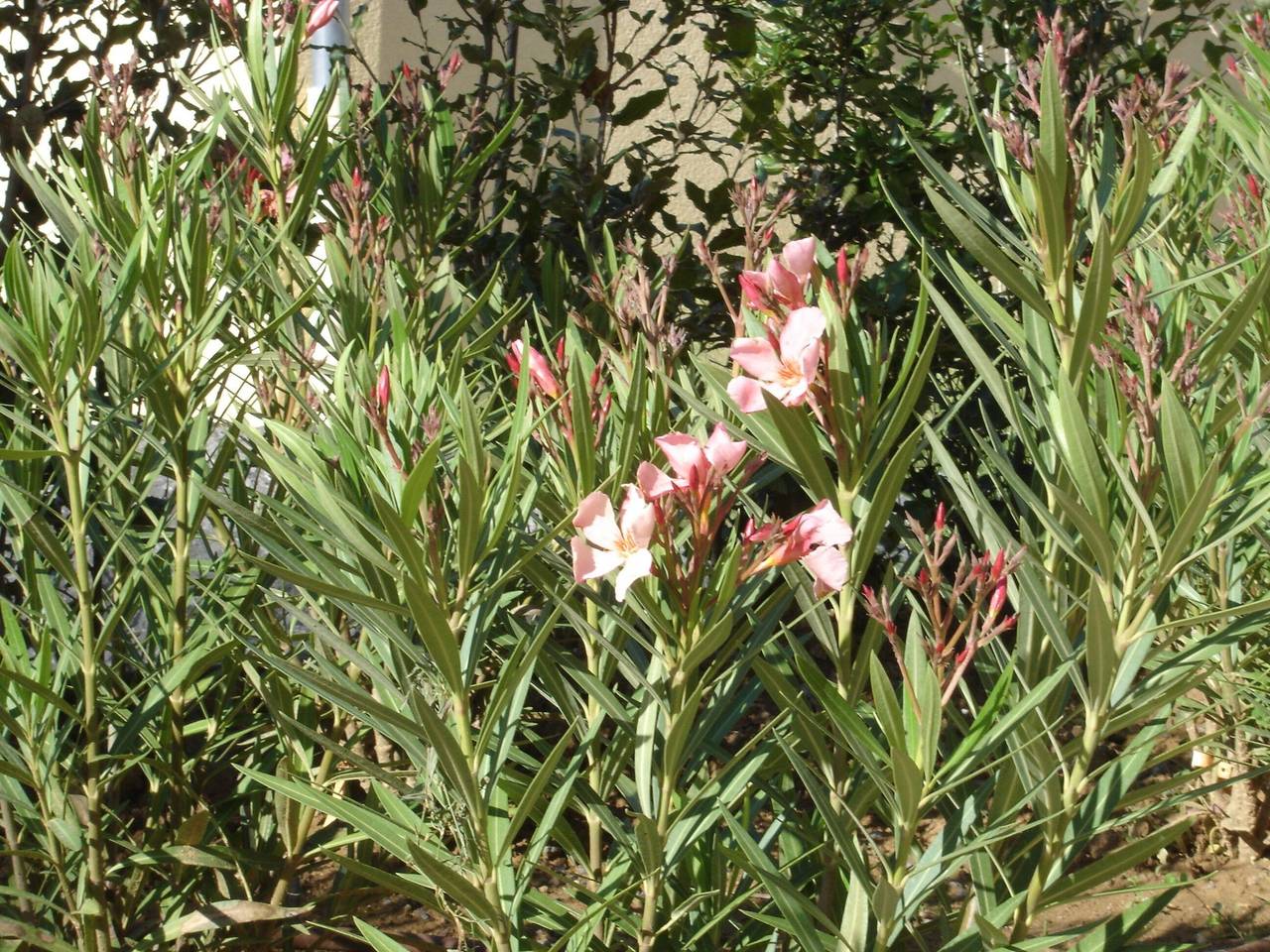 Deluxe Ardeche Villa | Villa Agape | 4 Bedrooms | Private Pool | Perfect for Families in Vallon-Pont-d'Arc, Ardèche