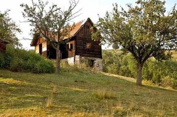 Gîte pour 4 personnes, avec terrasse, animaux acceptés en Roumanie