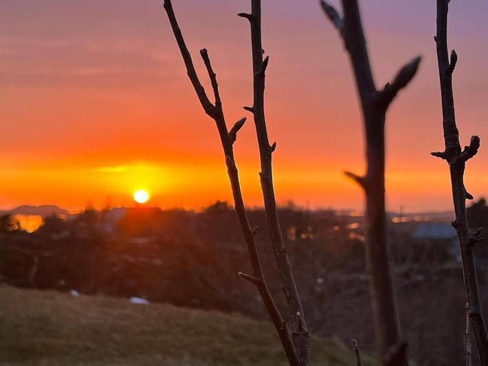 Ferienhaus für 4 Personen, mit Garten und Sauna sowie Ausblick, mit Haustier in Eide - 2
