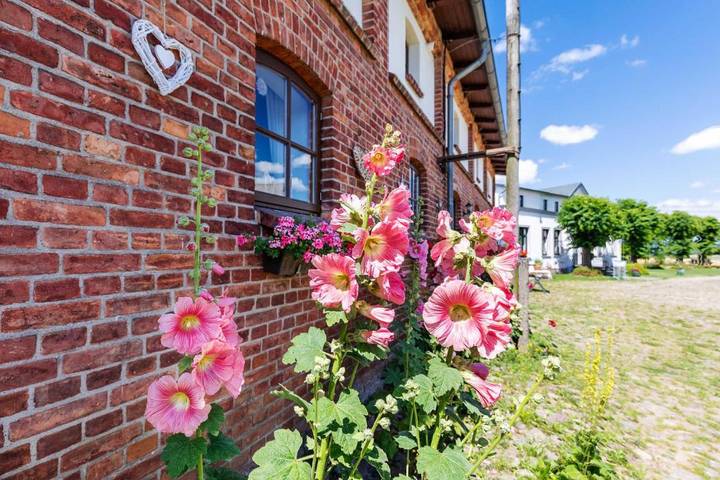 Ferienwohnung für 3 Personen, mit Terrasse und Garten sowie Ausblick in Steffenshagen
