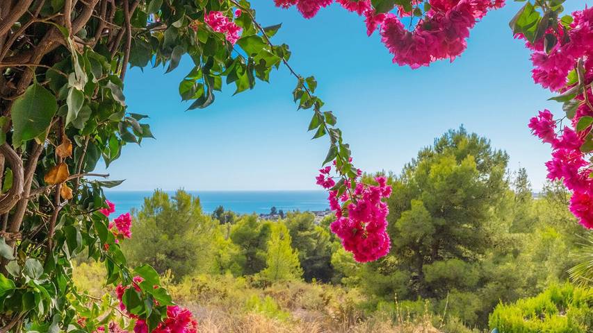 Quinto Pino Frigiliana by Ruralidays in Frigiliana, Costa del Sol