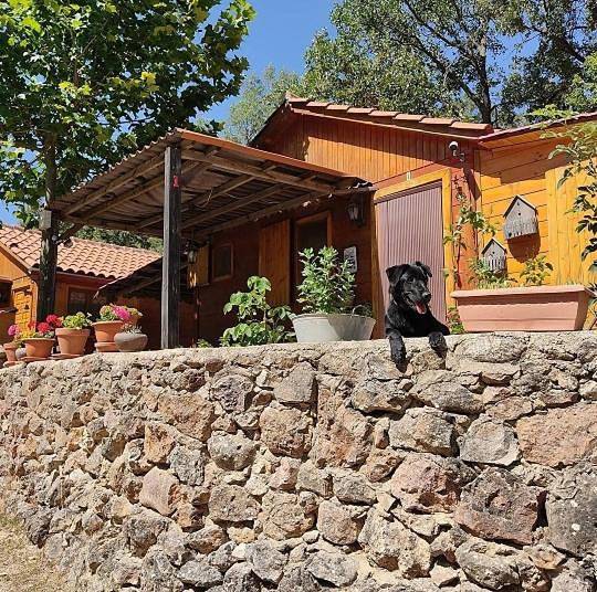 Camping für 4 Personen, mit Terrasse und Garten sowie Kinderpool und Pool in Kastilien-La Mancha - 2