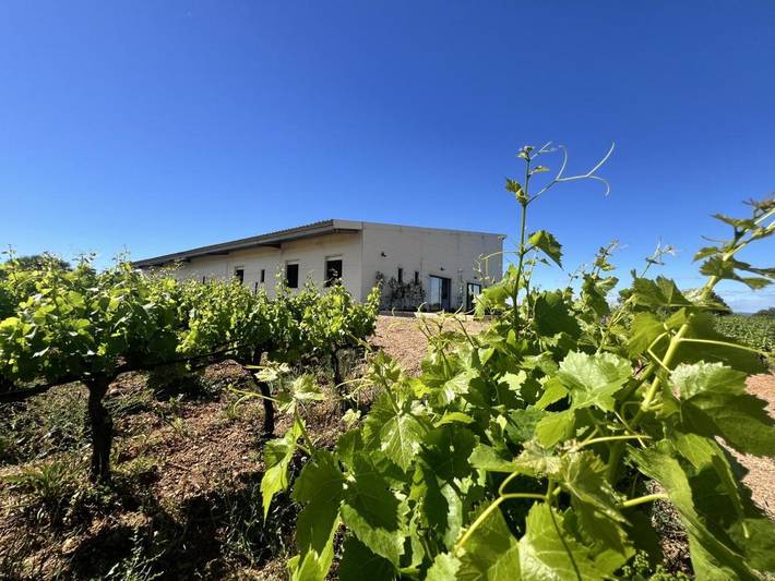 Gîte pour 6 personnes, avec Terrasse et Jardin ainsi que Piscine et Vue à Corneilhan
