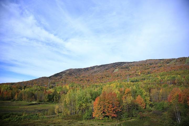 Gîte pour 4 personnes, avec piscine et jacuzzi à Beaupré - 3