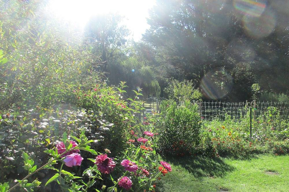 Chambre D’hôte pour 2 Personnes dans Neuvy-sur-Barangeon, Région de Vierzon