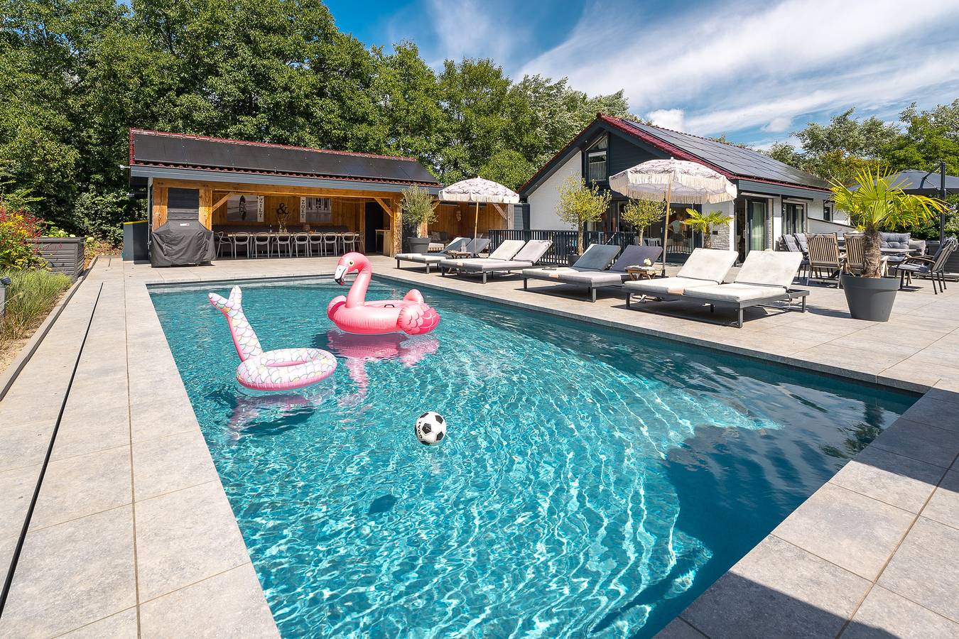 West Nieuwlandseweg 25A - Ouddorp - Poolvilla Zilt & Zoet  in Ouddorp, Goeree-Overflakkee