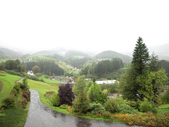 Ferienwohnung für 4 Personen, mit Balkon und Terrasse sowie Garten in Bad Peterstal-Griesbach - 4