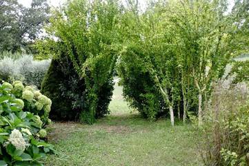 Agriturismo per 12 Persone in Bracciano, Lago di Bracciano, Foto 3