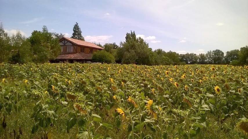 Location de vacances pour 2 personnes, avec Terrasse et Jardin ainsi que Piscine et Vue à Lagraulet-du-Gers