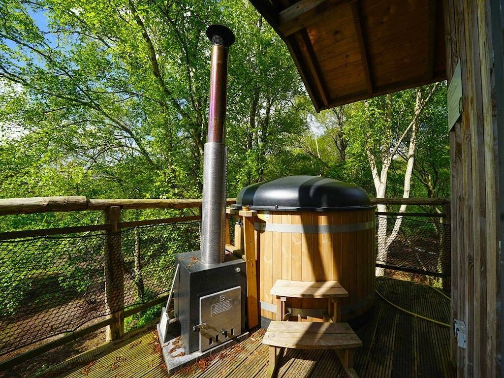 Ferienhaus für 6 Personen mit Terrasse in Ruinen, Nationalpark Dwingelderveld