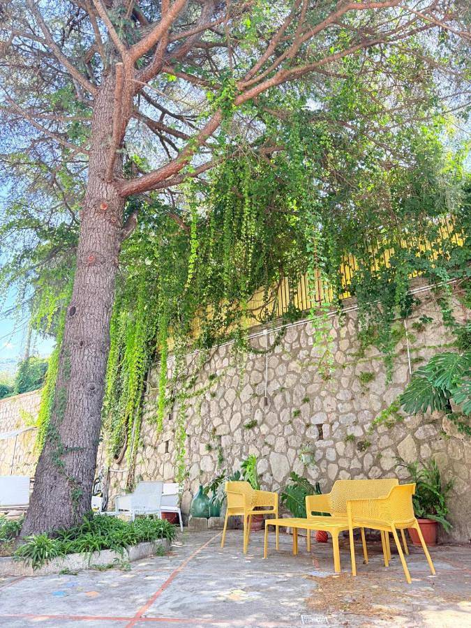 Albergo a gestione familiare per 1 persone, con animali domestici - 1