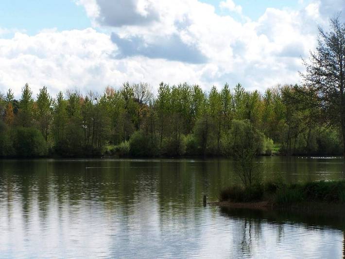 Maison d’hôte pour 2 personnes, avec balcon à Évran - 3