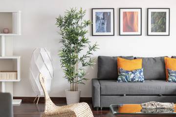 Glamping para 6 Pessoas em Caniço (Santa Cruz), Madeira, Foto 1