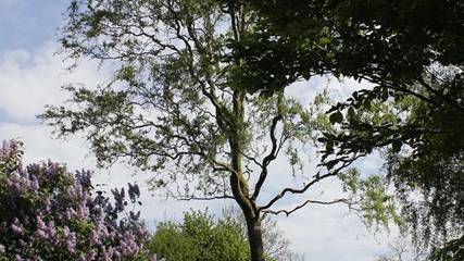 Ferienwohnung für 4 Personen in Schwarmstedt, Landkreis Heidekreis, Bild 3