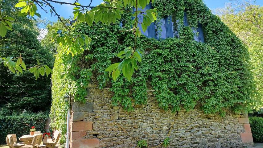Ferienwohnung für 4 Personen, mit Terrasse und Garten, mit Haustier in Wallscheid
