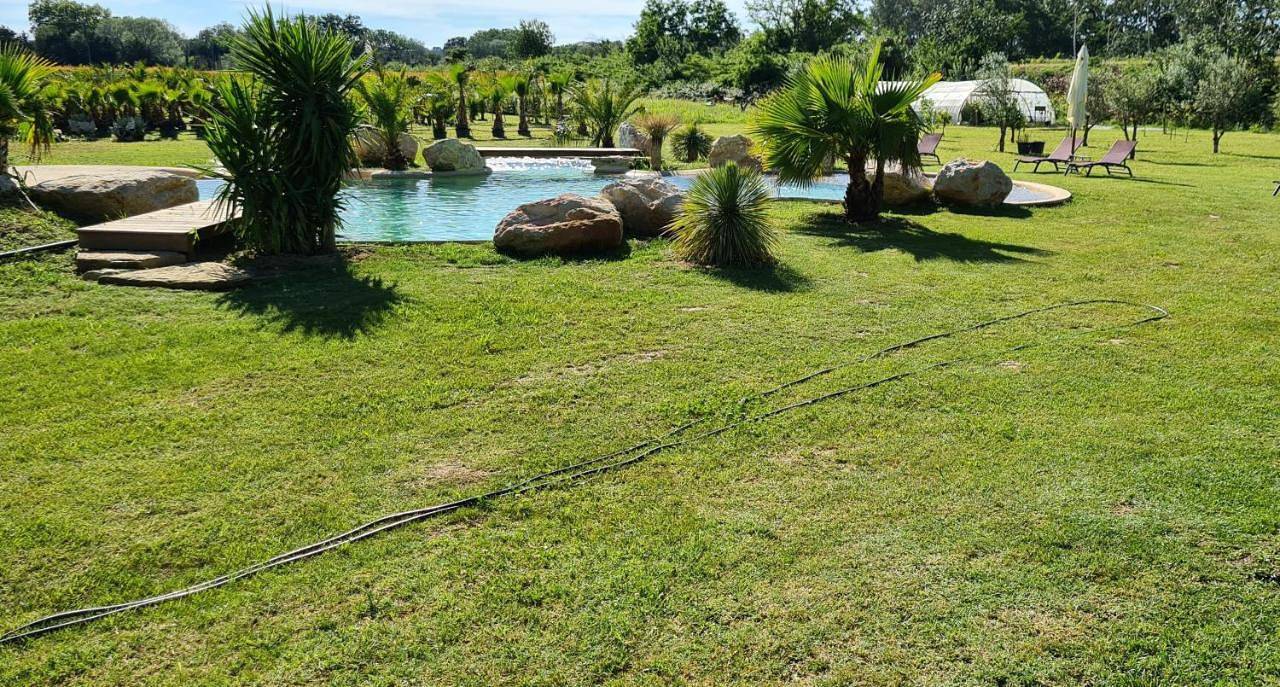 Le Mas des Cerisiers Jacuzzi et Sauna inclus pour tous les logements in Avignon, Vaucluse