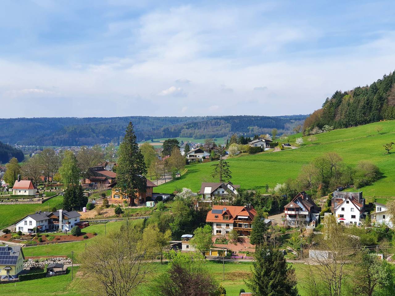 Ganze Ferienwohnung, Villa Schwarzwaldblick (Fewo) - Villa Schwarzwaldblick (Fewo) in Seelbach, Mittlerer Schwarzwald