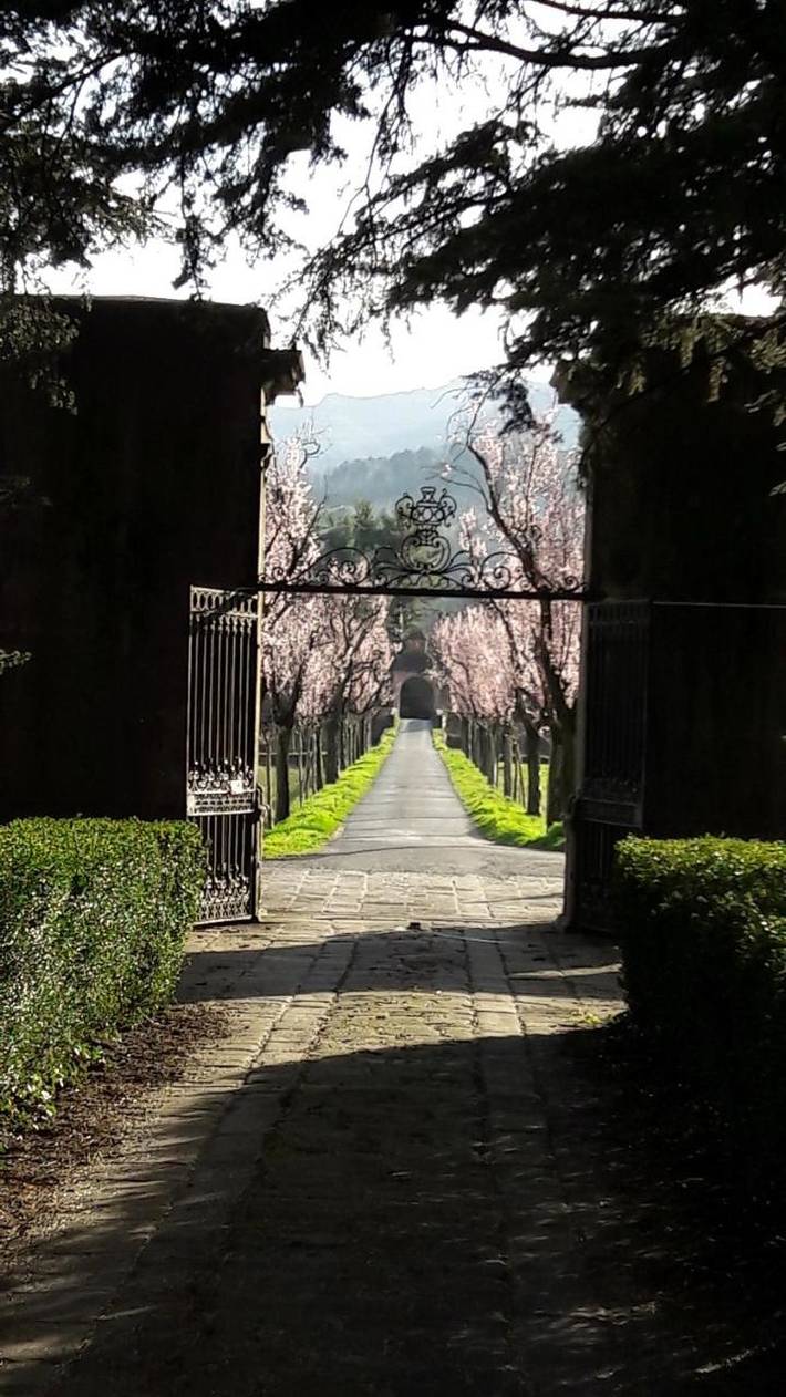 Casa vacanza per 7 persone, con Terrazza e Giardino nonché Panorama a Pontremoli