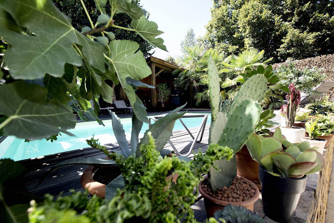Une Odeur de Tilleul, maison d'hôtes avec piscine - La chambre de Jeanne in Montbrison