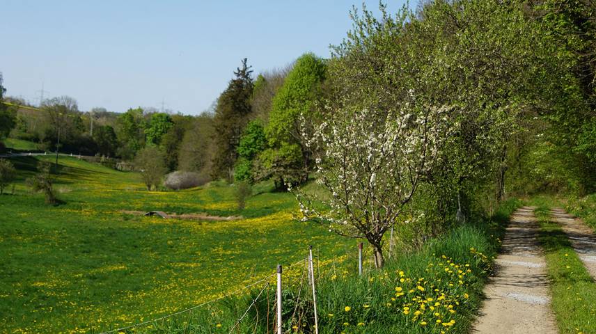 Bungalow für 2 Personen, mit Pool und Garten in Thüringen - 4