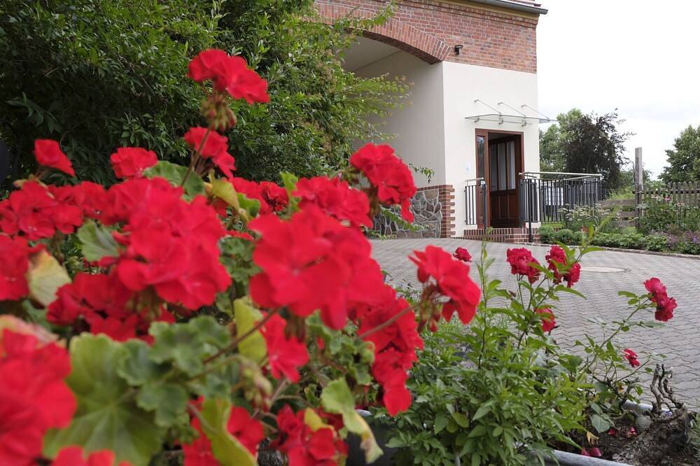 Ganze Wohnung, Ferienwohnung Mohnblume in Coswig (Anhalt), Fläming