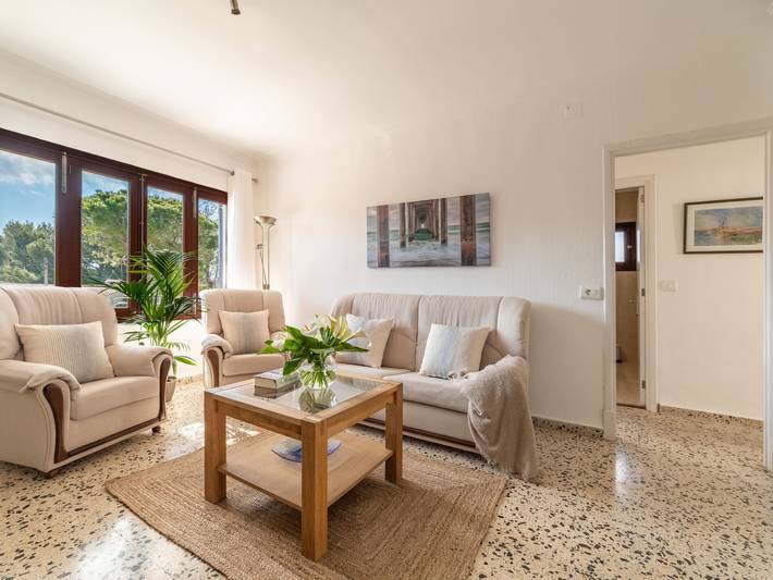 Gambaner in Platja del Corral d'en Bennàssar (Alcúdia), Alcúdia