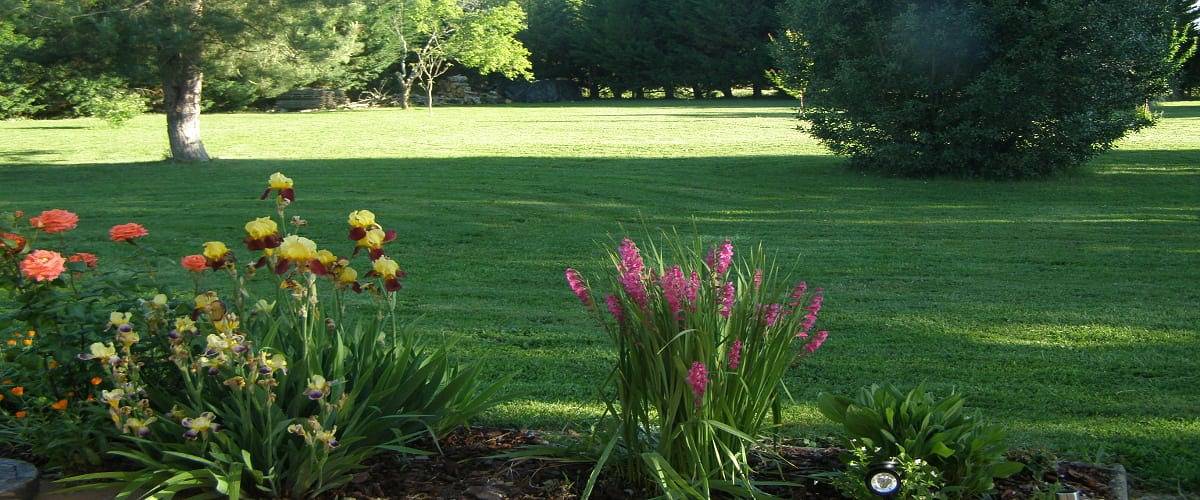 Les Denias - Chambre Europe in Saint-Paul, Région de Blaye