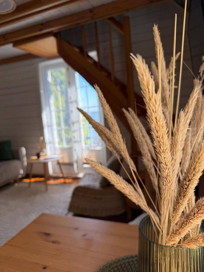 Ferienwohnung für 2 Personen, mit Terrasse und Ausblick in Kurische Nehrung - 4