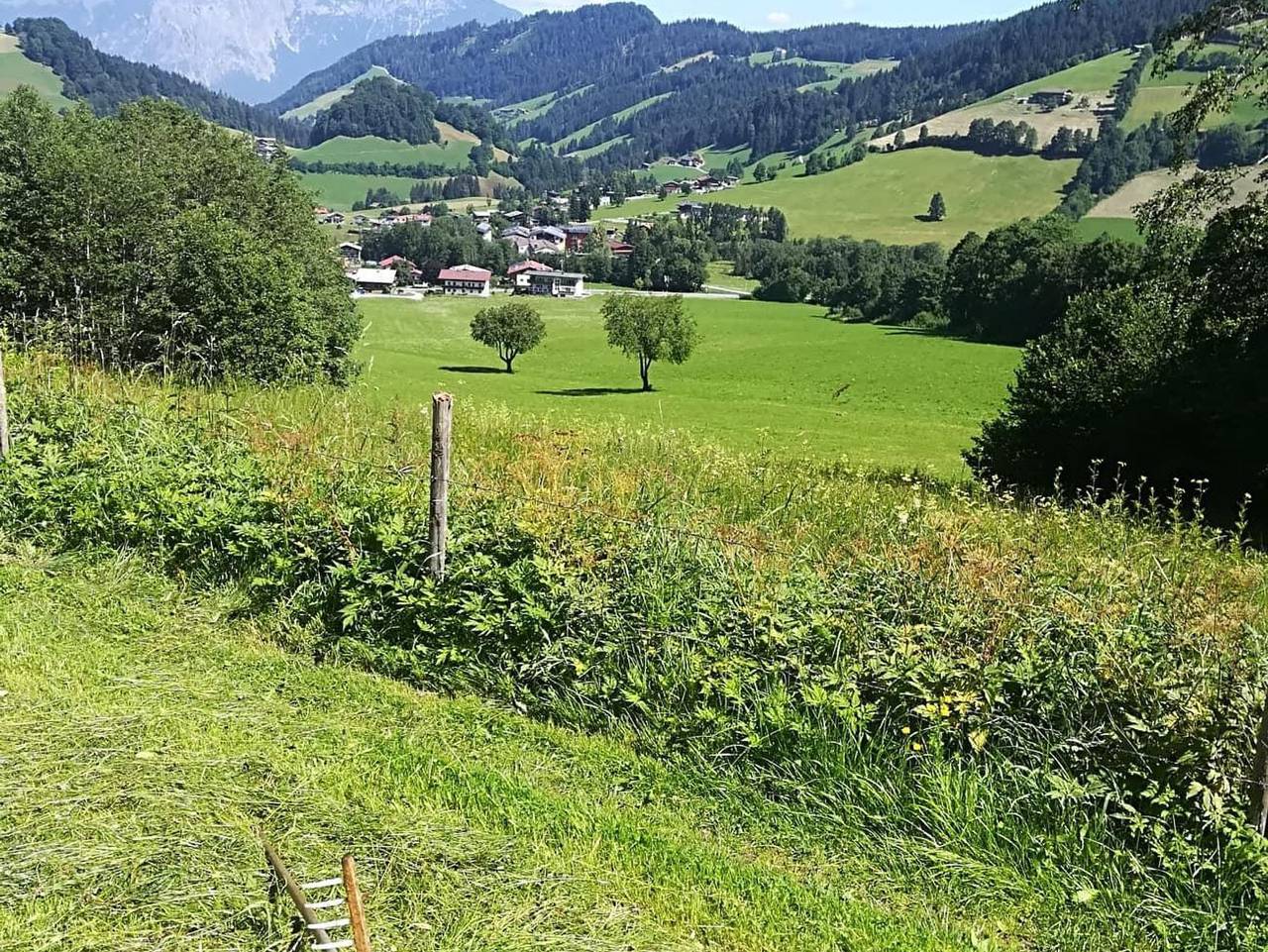 Ganze Ferienwohnung, Sixenhof - Typ A in Niederau, Wildschönau