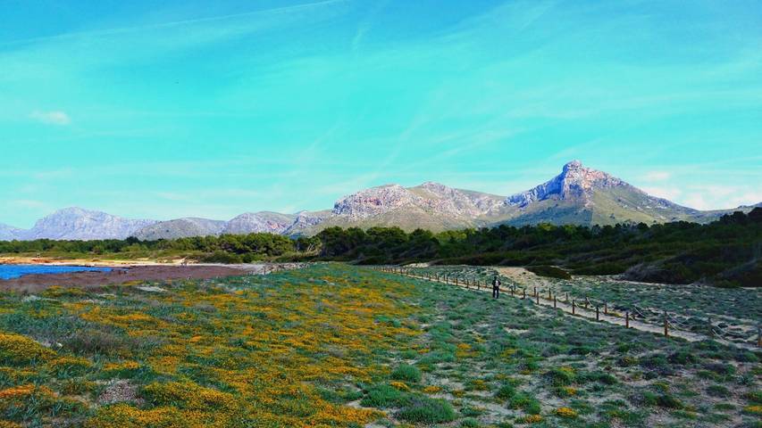 Chalet para 2 personas, con jardín además de terraza y jacuzzi, Familias con niños en Mallorca - 3