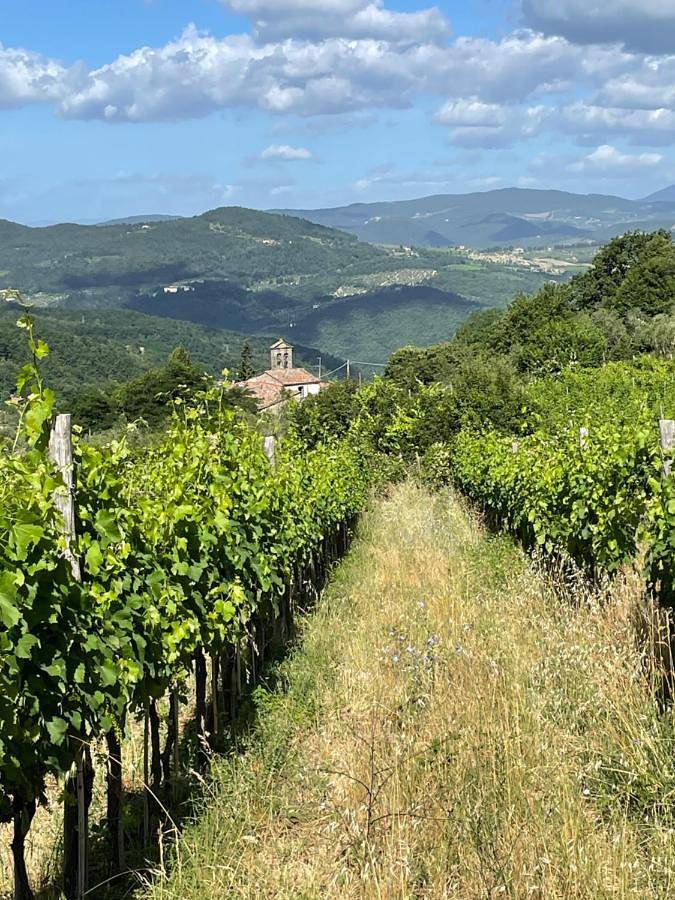 Agriturismo Podere Querceto in Rufina, Prowincja Florencja