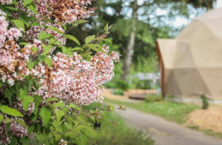 Camping para 2 personas, con vistas y jardín - 1