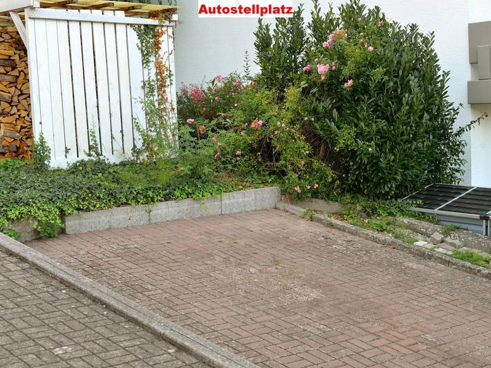 Ferienwohnung für 4 Personen, mit Terrasse und Garten, kinderfreundlich in Annweiler - 4