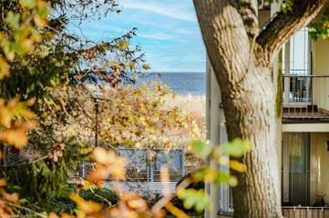 Ferienwohnung für 4 Personen in Drei Kaiserbäder, Heringsdorf, Bild 3