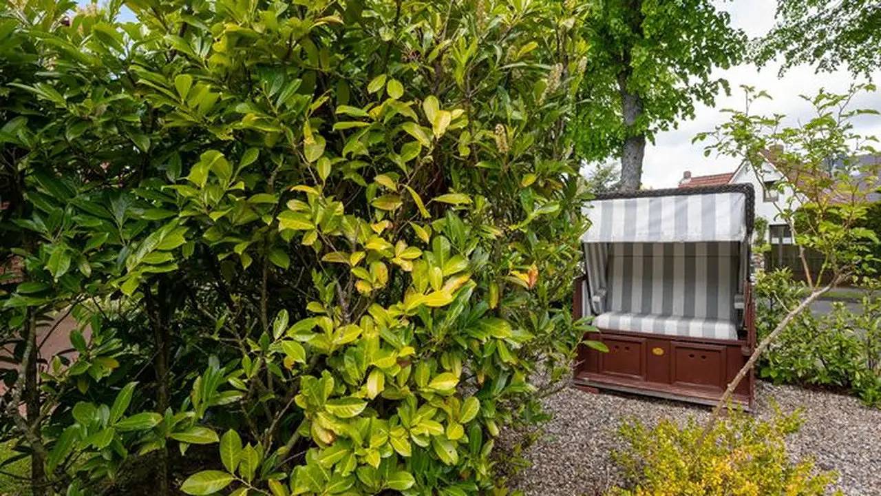 Ferienhaus für 2 Personen (60 m²) in Wyk auf Föhr (Stadt), Wyk auf Föhr
