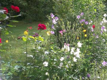 Ferienhaus für 5 Personen in Waldkirchen, Ostbayern, Bild 3