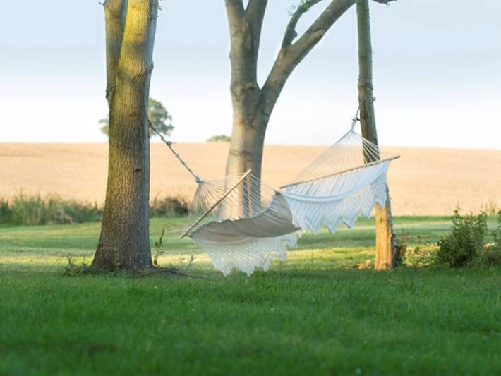 Ferienhaus für 4 Personen, mit Terrasse in Wangels - 2
