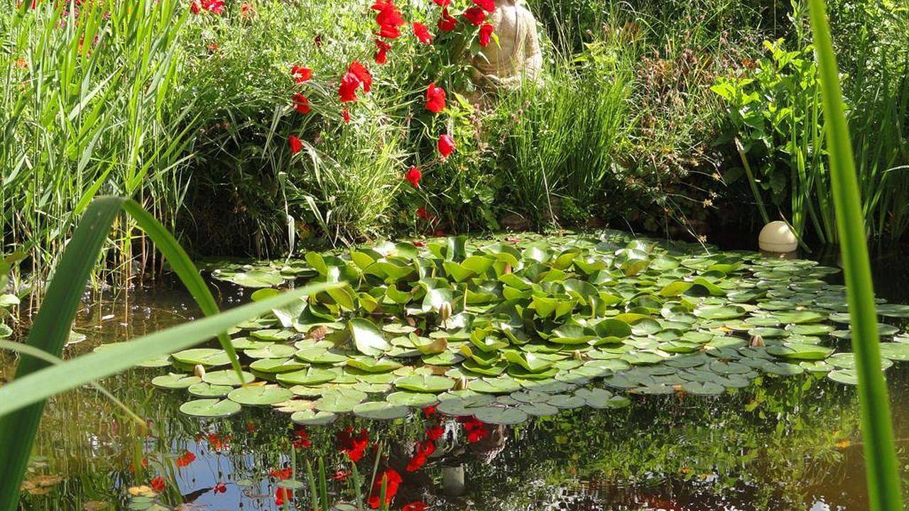 Ganze Ferienwohnung, Ferienwohnung für 4 Personen (49 m²) in Seeboden am Millstätter See in Seeboden, Oberkärnten