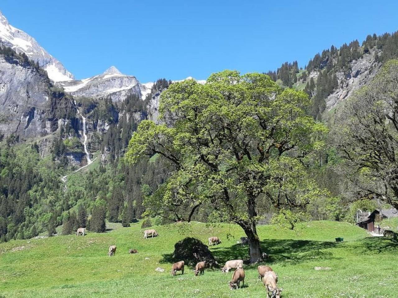 Rietberg 8 Braunwald in Glaris Sur, Cantón de Glaris