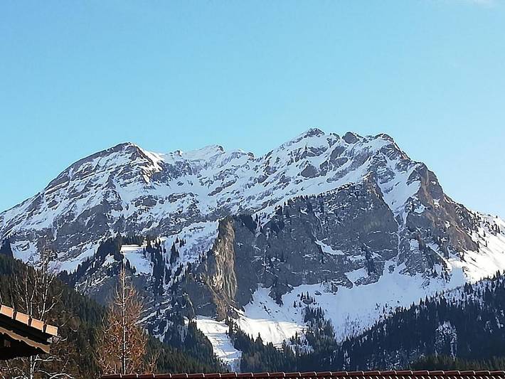 Hel lejlighed, Apartment 'Les Silenes' with Mountain View and Balcony in Bellevaux, Thonon-les-Bains Området