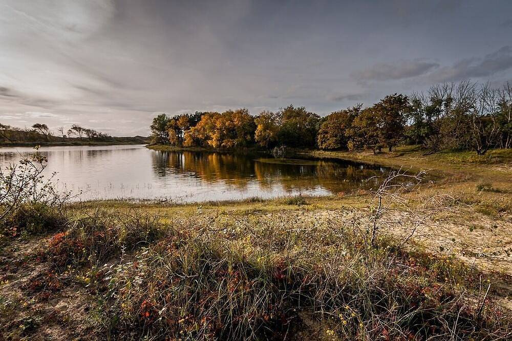 Idyllisch Natuurhuisje aan Duinrand in Soest (Niederlande), Utrecht und Umgebung