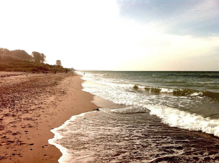 Ferienwohnung für 4 Personen, mit Terrasse und Garten, kinderfreundlich in Bastorf - 4