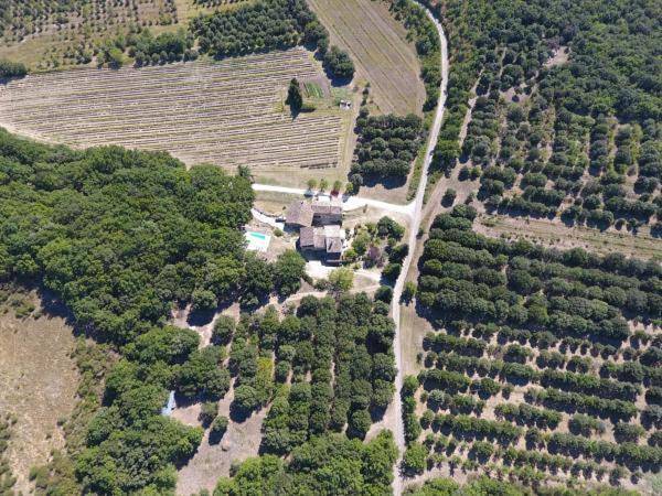 Location de vacances pour 2 personnes, avec jardin ainsi que piscine et vue à Réauville - 2