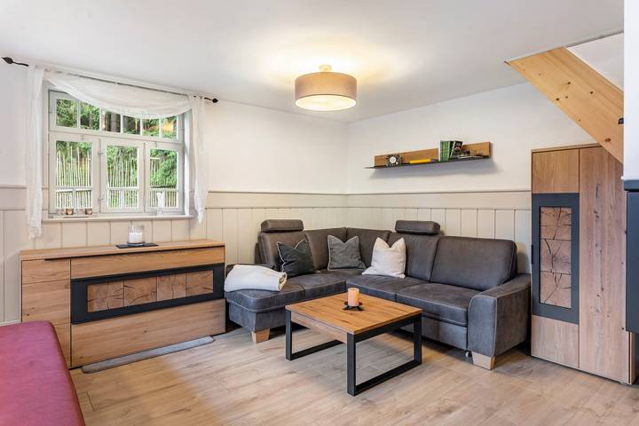 Holiday Home 'Waldhaus' with Mountain View, Shared Terrace and Wi-Fi in Adorf, Chemnitz (region)