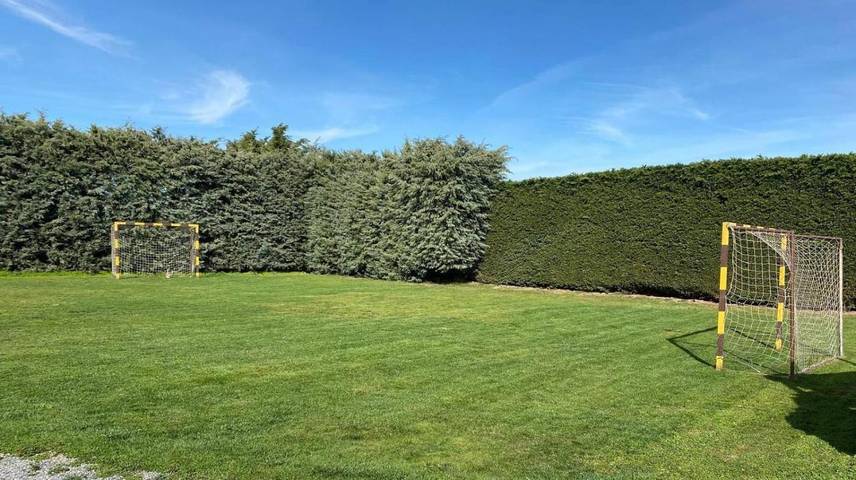 Casa de vacaciones para 16 personas, con terraza además de jardín y piscina, Se admiten mascotas en Comarca de Ávila - 4